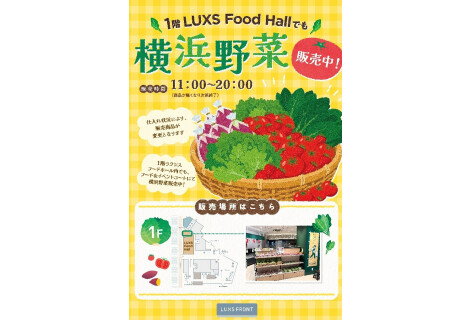 1階 LUXS Food Hallにて横浜野菜販売中！
