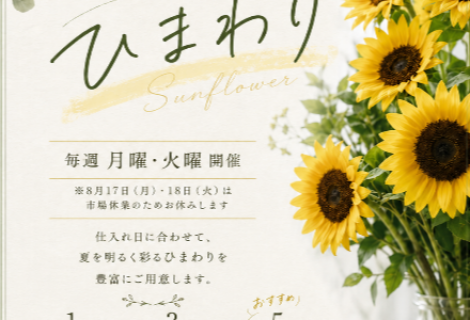 ８月は『ひまわりフェア』を開催いたします♪
