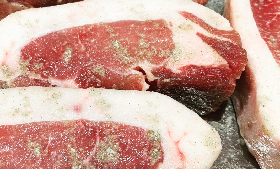 YOKOHAMAヨークシャー＝超希少品種