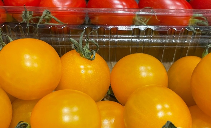 横浜産美味しいトマト