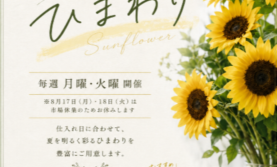 ８月は『ひまわりフェア』を開催いたします♪